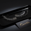 Midnight Wink Lashes